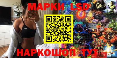 тгк Бийск