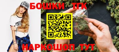 тгк Бийск