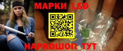 тгк Бийск