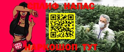 тгк Бийск